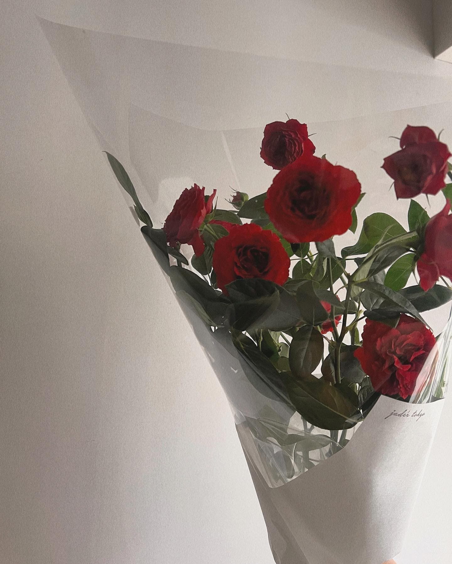 Rosas rosadas y blancas en empaque de celofán transparente